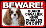 BEWARE Guard Dog on Duty Sign - Cavalier King Charles - FREE Shipping