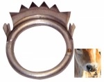 CROWN WEANING RING CALF