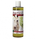 Emerald Valley Shampoo with Tea Tree Oil