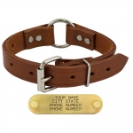 Leather Safety Dog Collar with FREE Name Plate