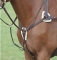 Shires Five Point Padded Leather Breastplate