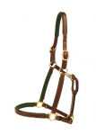 Tory Leather 3/4" Padded Bridle Leather Show Halter