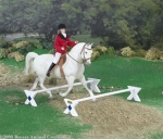 Breyer Jumps