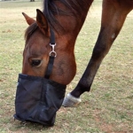 Buckets, Feeders & Hay Bags