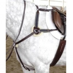 English Breastplates & Martingales