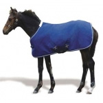 Foal Blankets