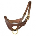 Foal Halter