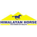 Himalayan Horse