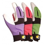 Riding Gloves