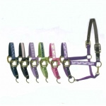 Weaver Leather Silvertip #95 Rope Halter with 10' Lead