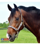5/A Baker Breakaway Halter with Full Leather Crown 1"