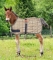 5/A Baker Expand-O-Blanket Turnout for Foal & Pony