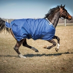 Abrazo Super Hug 2500D Turnout Blanket - Heavy Wt 360G