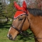 All Crochet Fly Veil with Ears with Braid Trim