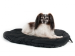 Back On Track Therapeutic Dog Bed