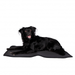 Back On Track Therapeutic Dog Bed Liner