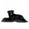 Back On Track Therapeutic Dog Travel Bed