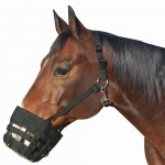 Best Friend Deluxe All-In-One Muzzle Grazing Muzzle