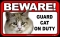BEWARE Guard Cat on Duty Sign - Coon Cat - FREE Shipping