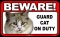 BEWARE Guard Cat on Duty Sign - Coon Cat - FREE Shipping