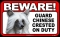 BEWARE Guard Dog on Duty Sign - Chinese Crested