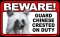 BEWARE Guard Dog on Duty Sign - Chinese Crested