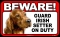 BEWARE Guard Dog on Duty Sign - Irish Setter - FREE Shipping