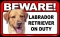 BEWARE Guard Dog on Duty Sign - Labrador Retriever - Yellow - FREE Shipping