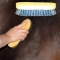 Body Brush Pig Bristle