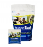 BOUNCE BACK ELECTROYLYTE