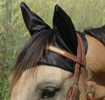 Cashel Comfort Ears-Horse/Arab