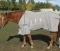 Cashel Crusader Fly Sheet with Adjustable Belly Guard