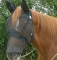 Cashel Quiet Ride Fly Mask Long Nose with Ears