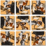 Cats Scramble Squares - FREE Shipping