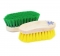 Champion Small Dandy Horse Grooming Brush - Plastic Back - Assorted