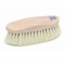 Champion Tampico Dandy Horse Grooming Brush - Plastic Back