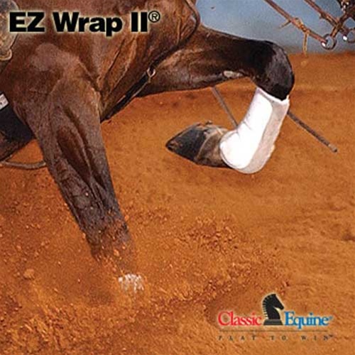 ez boot horse