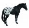 CollectA Model Horse - Black Appaloosa Stallion