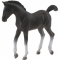 CollectA Model Horse - Black Tennessee Walking Horse Foal