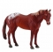 CollectA Model Horse - Chestnut Appaloosa Stallion