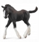 CollectA Shire Horse Foal - Black