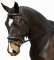 COLLEGIATE COMFORT CROWN PADDED CRANK W/REMOVABLE FLASH BRIDLE
