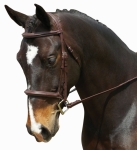 COLLEGIATE COMFORT CROWN PLAIN RAISED PADDED BRIDLE