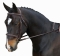 COLLEGIATE COMFORT CROWN RAISED PADDED FANCY STITCHED BRIDLE