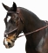 COLLEGIATE COMFORT CROWN RAISED PADDED FANCY STITCHED FIGURE 8 BRIDLE