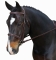 COLLEGIATE COMFORT CROWN ULTRA RAISED PADDED BRIDLE