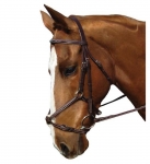 COLLEGIATE FIGURE 8 NOSEBAND BRIDLE