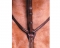 COLLEGIATE FLAT BREASTPLATE RUNNING MARTINGALE