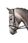 COLLEGIATE PADDED FLASH BRIDLE