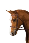 COLLEGIATE PLAIN RAISED BRIDLE with Reins